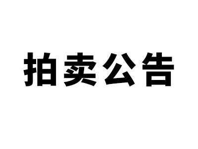 希爾得拍賣|岳陽君山區(qū)停車位（場）及充電基礎(chǔ)設(shè)施建設(shè)項目特許經(jīng)營權(quán)拍賣公告